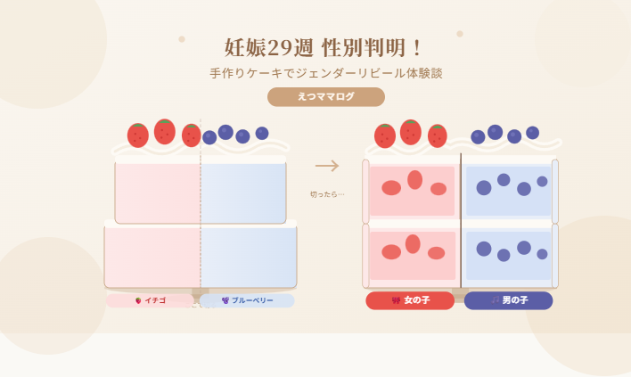 妊娠29週で性別判明！手作りケーキでジェンダーリビール(性別発表)した体験談